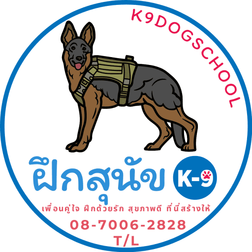 ฝึกสุนัข  ฝึกหมา ศูนย์ฝึกสุนัขตำรวจ k9 รับฝึกสุนัขดุ