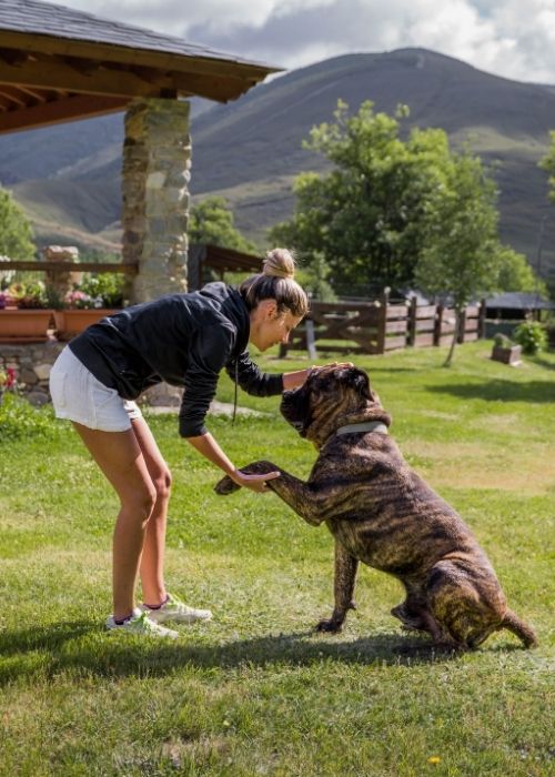 เปรซา คานาริโอ