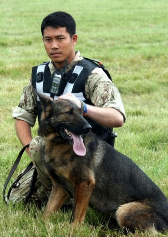 ฝึกสุนัขดุ