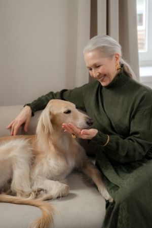 ซาลูกิ (Saluki)