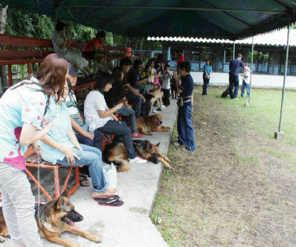 ฝากสุนัข-ฝึกสุนัข